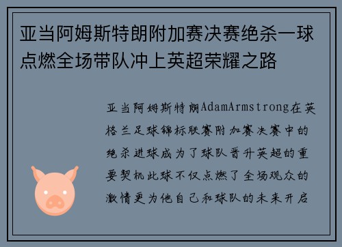 亚当阿姆斯特朗附加赛决赛绝杀一球点燃全场带队冲上英超荣耀之路